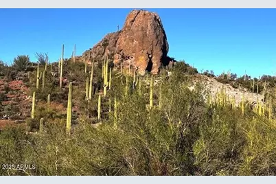 0 Elephant Butte Road #-, Queen Valley, AZ 85118 - Photo 1