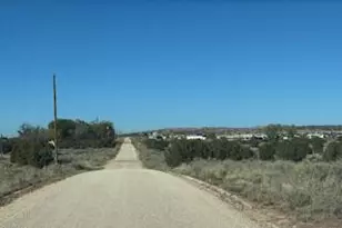 955 W 33rd S Pl S, Saint Johns, AZ 85936 - Photo 40