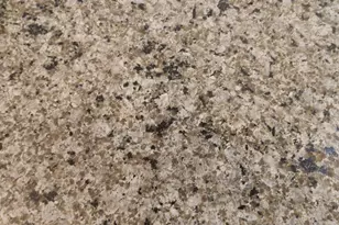 16 W Encanto Blvd, Phoenix, AZ 85003 - Photo 16