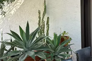 2022 E Bishop Dr, Tempe, AZ 85282 - Photo 14