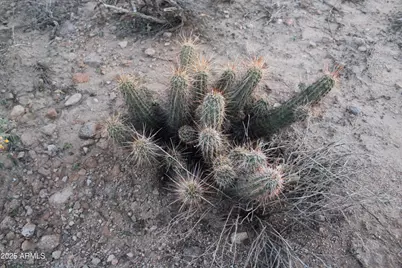 4905 N Delaware Drive #100-11-032D, Apache Junction, AZ 85120 - Photo 26