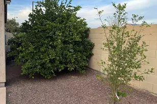 19229 W Adams St, Buckeye, AZ 85326 - Photo 32