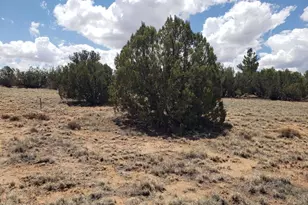 3933 Hidden Ranch Rd, Snowflake, AZ 85937 - Photo 1