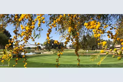 6972 S Nantucket Street, Chandler, AZ 85249 - Photo 40