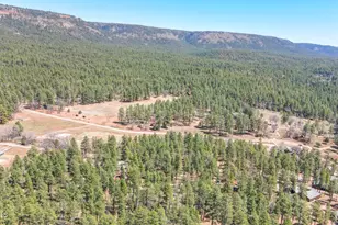 1103 E Ranch Rd, Payson, AZ 85541 - Photo 6