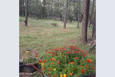 1103 E Ranch Road, Payson, AZ 85541 - Photo 74