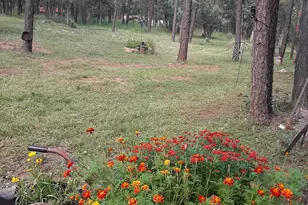 1103 E Ranch Rd, Payson, AZ 85541 - Photo 74