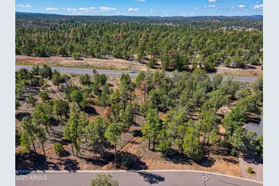 4870 W Eagle Mountain Drive #14, Show Low, AZ 85901 - Photo 2