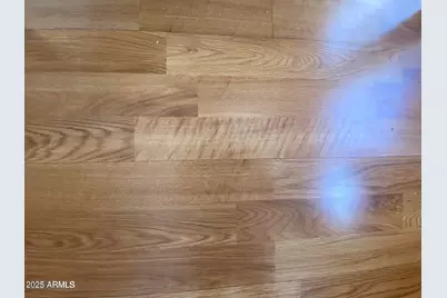 1426 S Havasupai Drive, Apache Junction, AZ 85119 - Photo 6