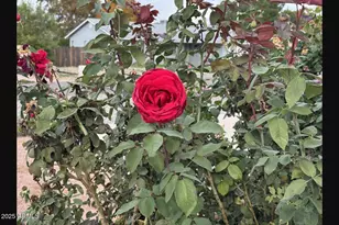 4391 E Canyon Dr, Camp Verde, AZ 86322 - Photo 6