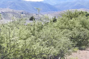 441 Skyline Blvd, Clarkdale, AZ 86324 - Photo 1