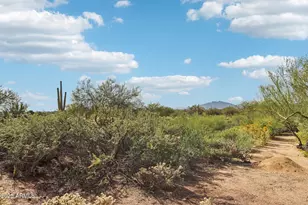 39330 N 107th Way, Scottsdale, AZ 85262 - Photo 46