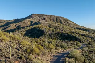 41521 N 75th Pl, Cave Creek, AZ 85331 - Photo 6