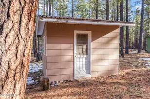 511 Mule Springs Trail, Forest Lakes, AZ 85931 - Photo 36
