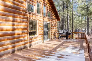 511 Mule Springs Trail, Forest Lakes, AZ 85931 - Photo 8