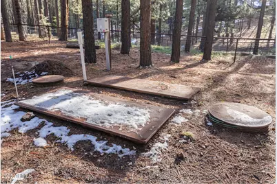 511 Mule Springs Trail, Forest Lakes, AZ 85931 - Photo 44