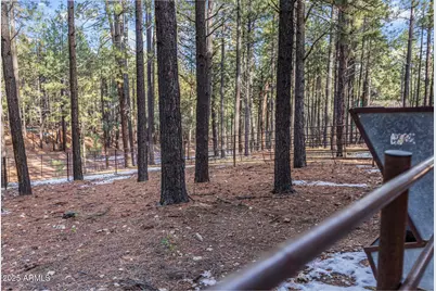 511 Mule Springs Trail, Forest Lakes, AZ 85931 - Photo 34
