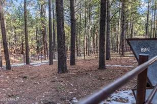 511 Mule Springs Trail, Forest Lakes, AZ 85931 - Photo 34