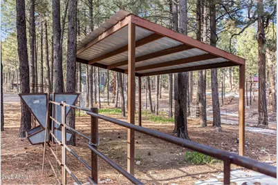 511 Mule Springs Trail, Forest Lakes, AZ 85931 - Photo 32