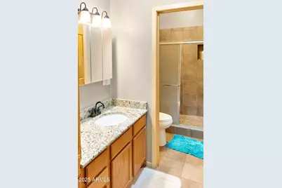 511 Mule Springs Trail, Forest Lakes, AZ 85931 - Photo 26