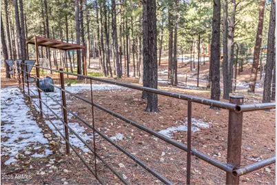 511 Mule Springs Trail, Forest Lakes, AZ 85931 - Photo 42