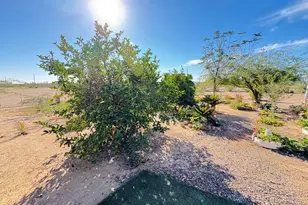 30515 W Morning Vista Ln, Wittmann, AZ 85361 - Photo 40