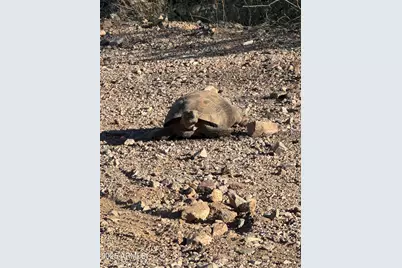 Xx00H S Blue Tank Trail #-, Wickenburg, AZ 85390 - Photo 10