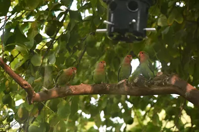 8018 N Via Verde --, Scottsdale, AZ 85258 - Photo 40