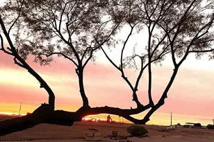 25750 W MC 85, Buckeye, AZ 85326 - Photo 48