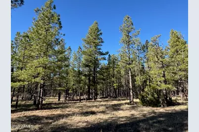 Lot 3L N Quintana Drive #-, Flagstaff, AZ 86001 - Photo 2