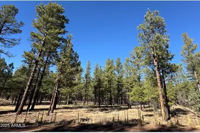 Lot 3L N Quintana Drive #-, Flagstaff, AZ 86001 - Photo 4