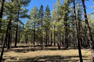 Lot 3L N Quintana Dr, Flagstaff, AZ 86001 - Photo 1