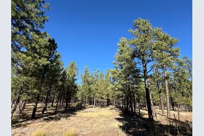 Lot 3L N Quintana Drive #-, Flagstaff, AZ 86001 - Photo 8