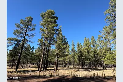 Lot 3L N Quintana Drive #-, Flagstaff, AZ 86001 - Photo 6