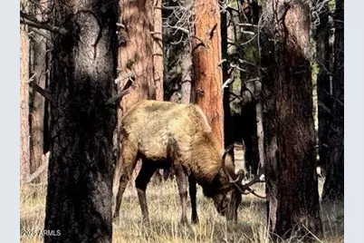 Lot 3L N Quintana Drive #-, Flagstaff, AZ 86001 - Photo 10