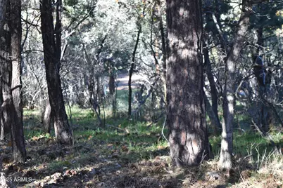 3829 N Pine Road N, Pine, AZ 85544 - Photo 24