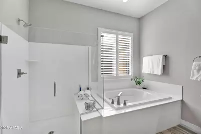 13769 W Blossom Way, Litchfield Park, AZ 85340 - Photo 16