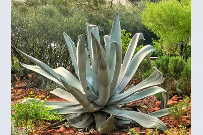 50 Mogollon Drive, Sedona, AZ 86336 - Photo 2