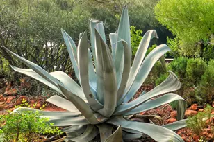 50 Mogollon Dr, Sedona, AZ 86336 - Photo 2