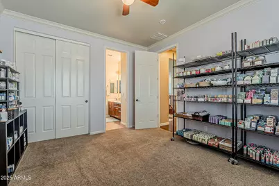 311 E Frances Lane, Gilbert, AZ 85295 - Photo 48