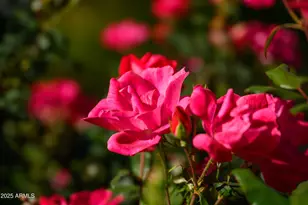 49 Prochnow Rd, Sedona, AZ 86336 - Photo 38