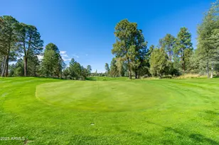 1004 N Scenic Dr, Payson, AZ 85541 - Photo 20