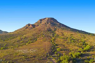 1709 E Gelding Dr, Phoenix, AZ 85022 - Photo 6