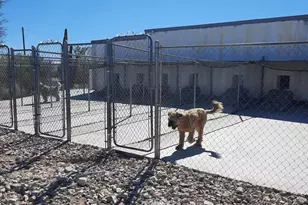 2150 N Rosser Rd, Ajo, AZ 85321 - Photo 8