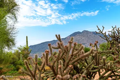 34748 N 93rd Place, Scottsdale, AZ 85262 - Photo 26