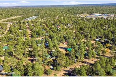 2880 Paint Pony Lane, Overgaard, AZ 85933 - Photo 38