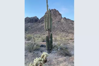 39003 Avenue 41 East -- E #-, Salome, AZ 85348 - Photo 60