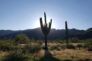 5607 N 193rd Ave, Litchfield Park, AZ 85340 - Photo 4