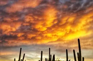 5607 N 193rd Ave, Litchfield Park, AZ 85340 - Photo 8