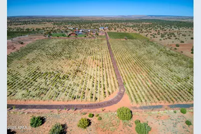 18 N5162 --, Concho, AZ 85924 - Photo 10